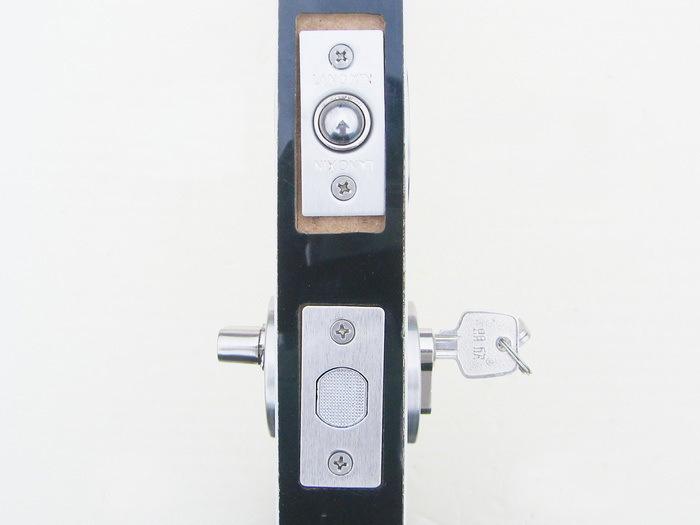 Door Hardware Stainless Steel Dark Buckle Invisible  Security Door Lock lockset