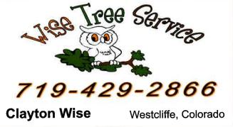 Wise Tree Service