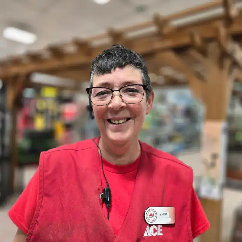 Lisa Department Lead