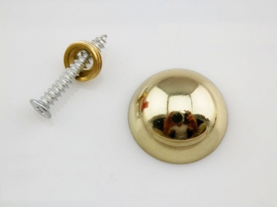 Lot Of 50 Semicircular Curved Advertisement Fixing Screws Glass Standoff Pin(D:18mm) [FurnitureHardware-198|]